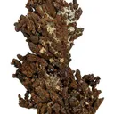 Copper (Twinned) - image 1