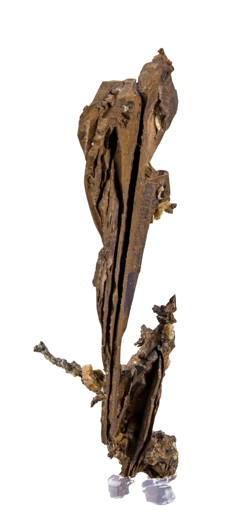 Copper (twinned) - image 2