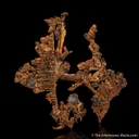 Copper (twinned) - image 1