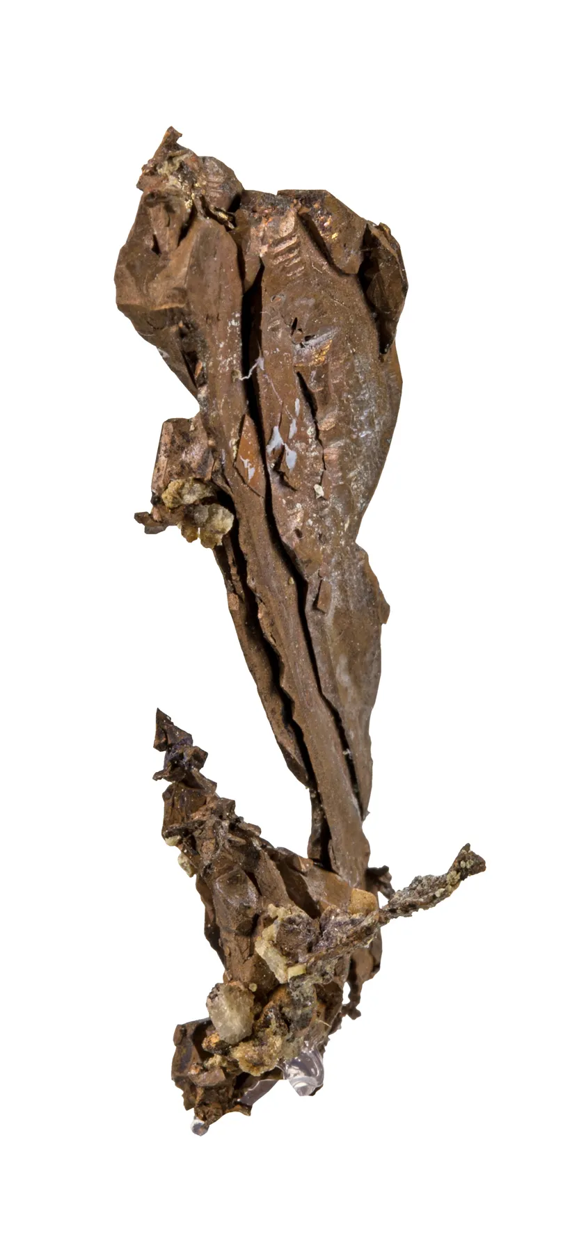 Copper (twinned) - image 4