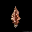 Copper (twinned) - image 3