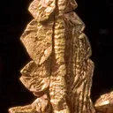 Copper (Twinned) - image 2