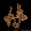 Copper (twinned) - image 5