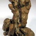 Copper (Unusual Growth) - image 1