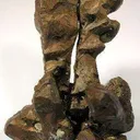 Copper (Unusual Growth) - image 2