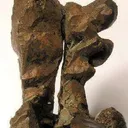 Copper (Unusual Growth) - image 3