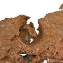 Copper With 1800'S Era Drill Impression - image 2