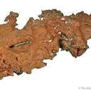 Copper With 1800'S Era Drill Impression - image 3