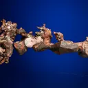 Copper with Analcime - image 5