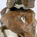 Copper With Calcite (Circa 1860'S) - image 7