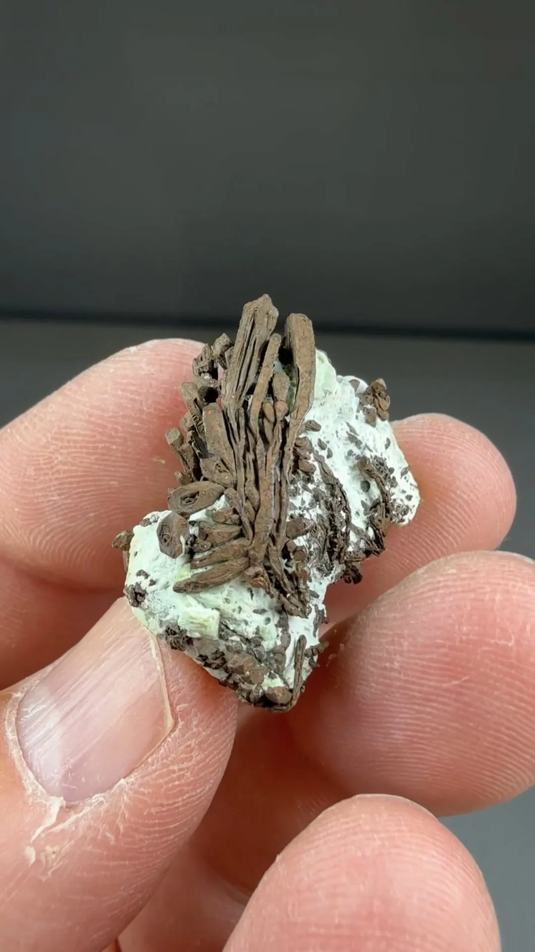 Copper with Datolite - image 2