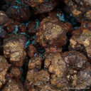 Copper with Malachite - image 2