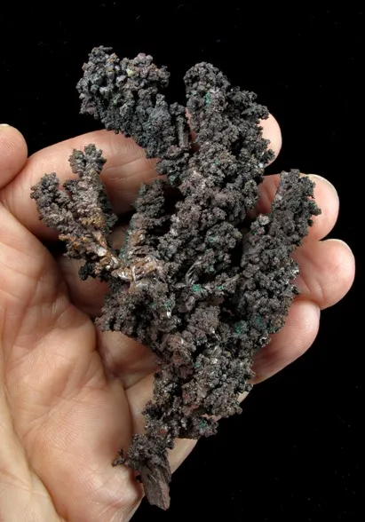 Copper With Malachite, Cuprite, and Cerussite - image 6