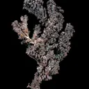 Copper With Malachite, Cuprite, and Cerussite - image 1