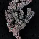 Copper With Malachite, Cuprite, and Cerussite - image 2