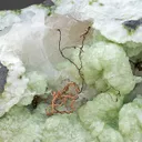 Copper with Prehnite - image 1