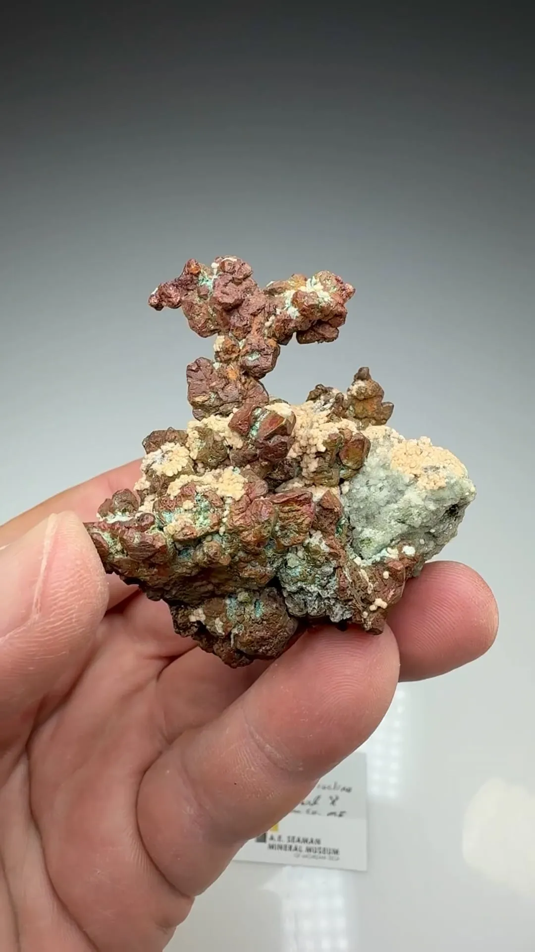 Copper with Prehnite, Microcline - image 2