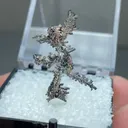 Copper with Silver - image 2