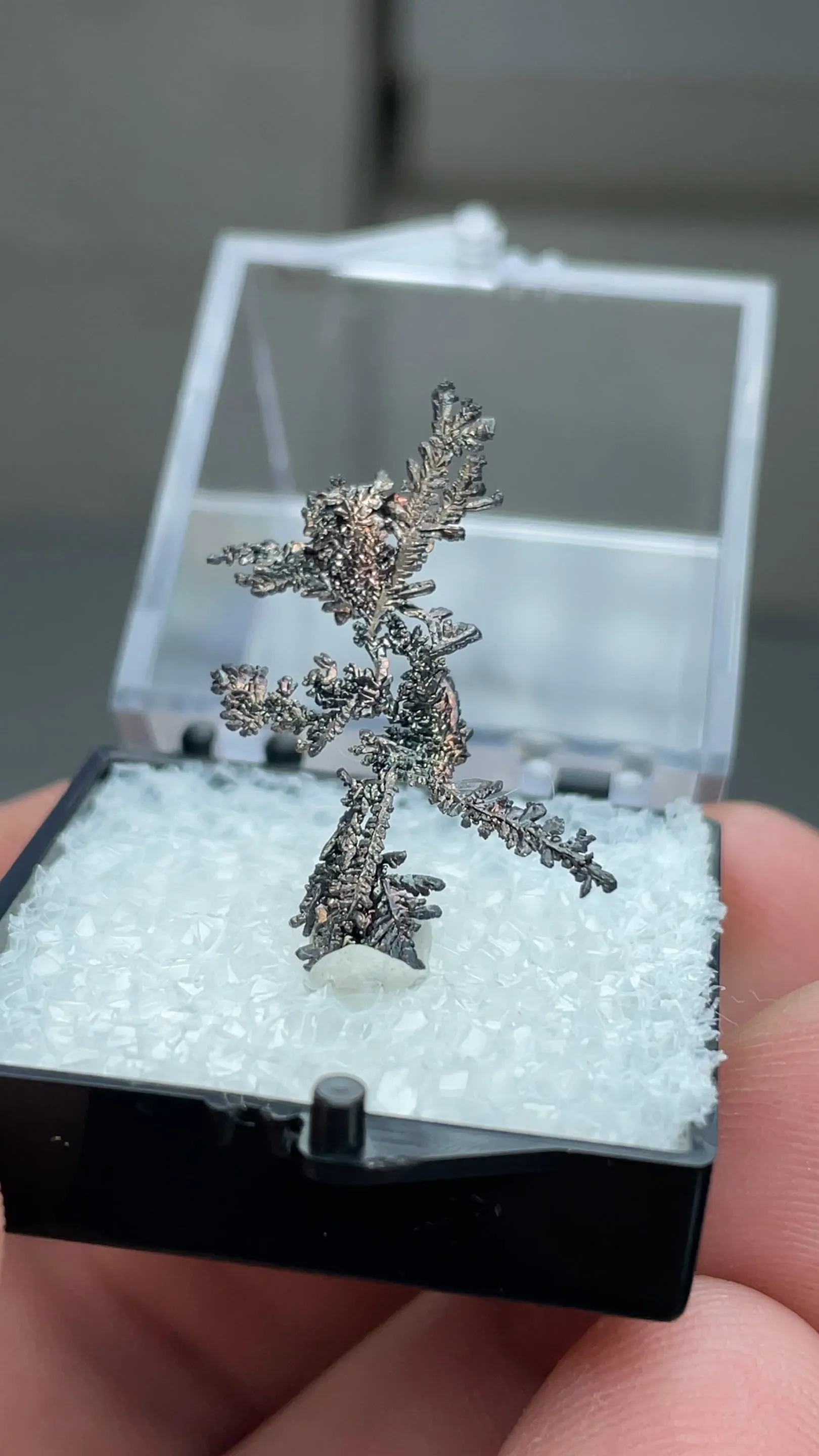 Copper with Silver - image 2