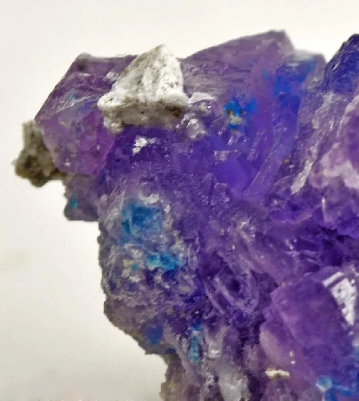 Coquimbite With Chalcanthite - image 2