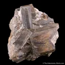 Cordierite with Muscovite - image 4