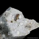 Cordylite-(Ce) with Albite, Aegirine - image 5