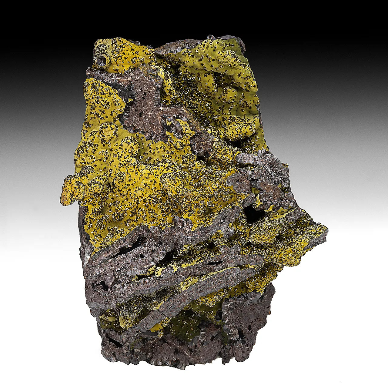 Corkite with Plumbogummite - image 1