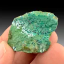 Cornetite from Majuba Hill Mine, Antelope Mining District, Pershing County, Nevada, USA - image 1
