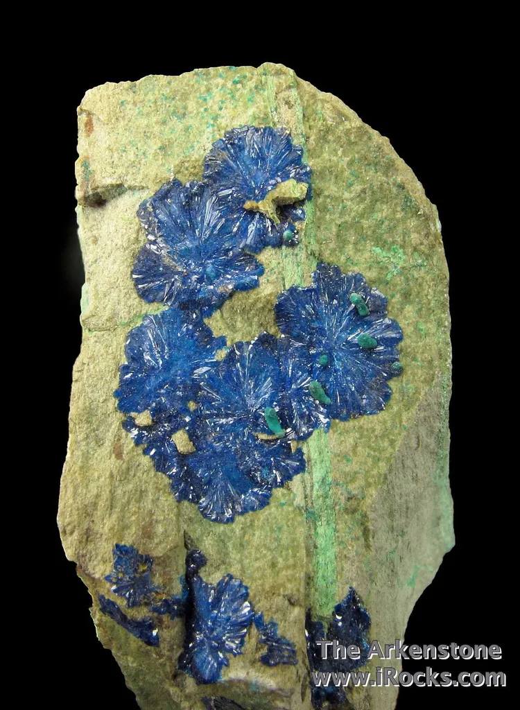 Cornetite (Type Locality) and Malachite - image 5