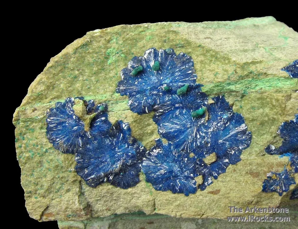 Cornetite (Type Locality) and Malachite image