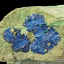 Cornetite (Type Locality) and Malachite - image 1