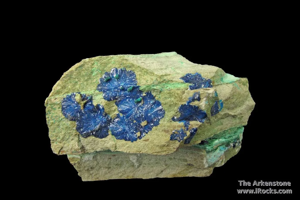 Cornetite (Type Locality) and Malachite - image 2