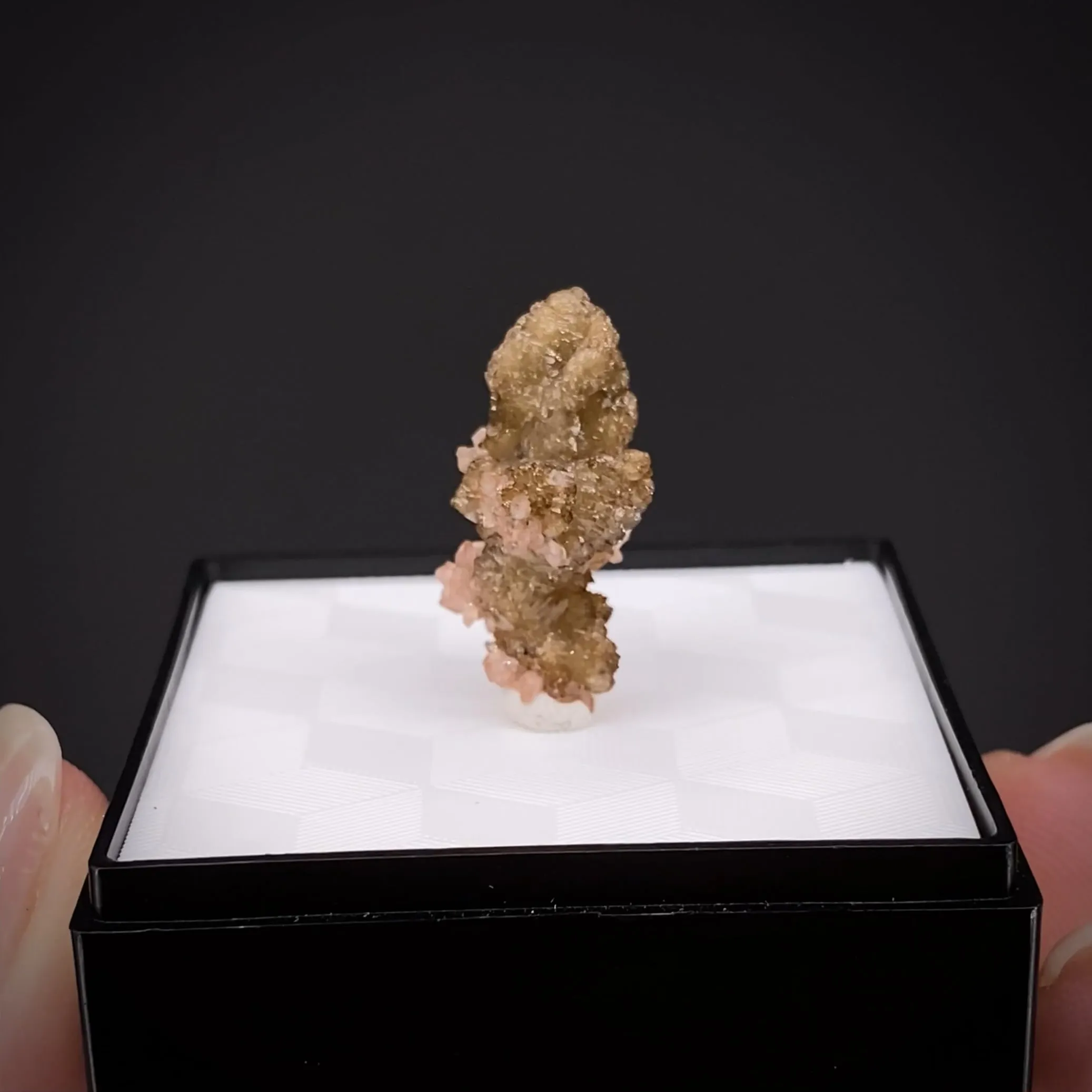 Correianevesite with Hureaulite - image 2