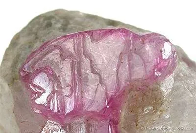 Corundum in Scapolite - image 3