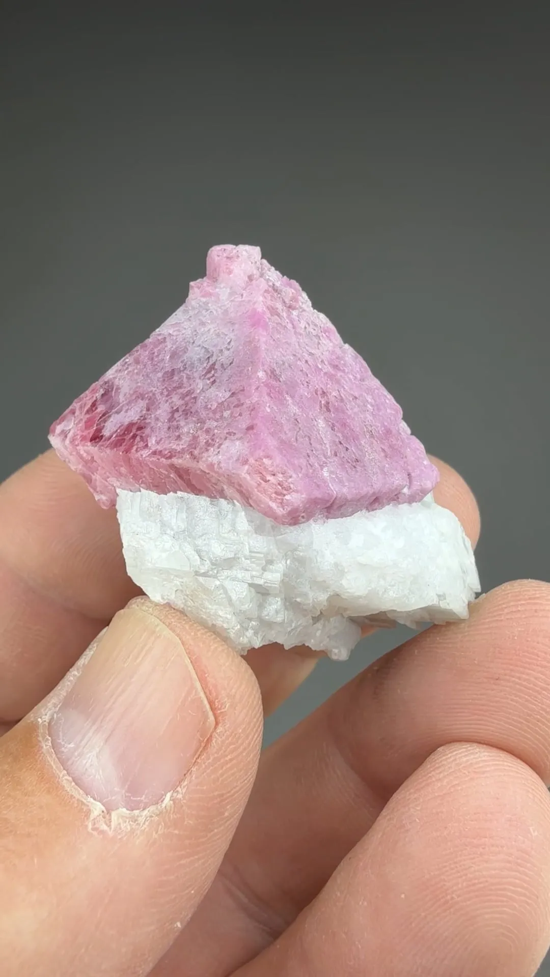 Corundum replacing Spinel - image 2