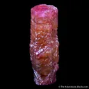 Corundum var. Pink Sapphire - image 1