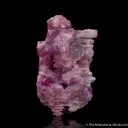 Corundum var. Ruby - image 5
