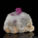 Corundum var. Ruby - image 3