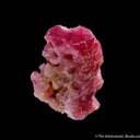 Corundum var. Ruby - image 1