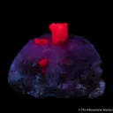 Corundum var. Ruby - image 5