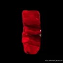 Corundum var. Ruby - image 5