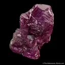 Corundum var. Ruby - image 3