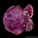 Corundum var. Ruby - image 7