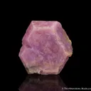 Corundum var. Ruby - image 1