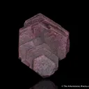 Corundum var. Ruby - image 6