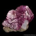 Corundum var. Ruby - image 5