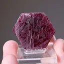 Corundum var. Ruby - image 2