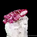 Corundum var. Ruby - image 1