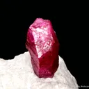 Corundum var. Ruby - image 1