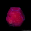 Corundum var. Ruby - image 4